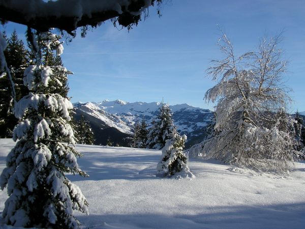 #2 Féérique : C Féérique : C'est encore Noël