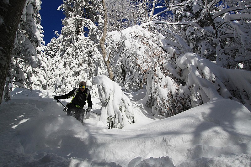 #6 Dans la forêt : Dans la forêt c Dans la forêt : Dans la forêt c'est trop bon aussi :)