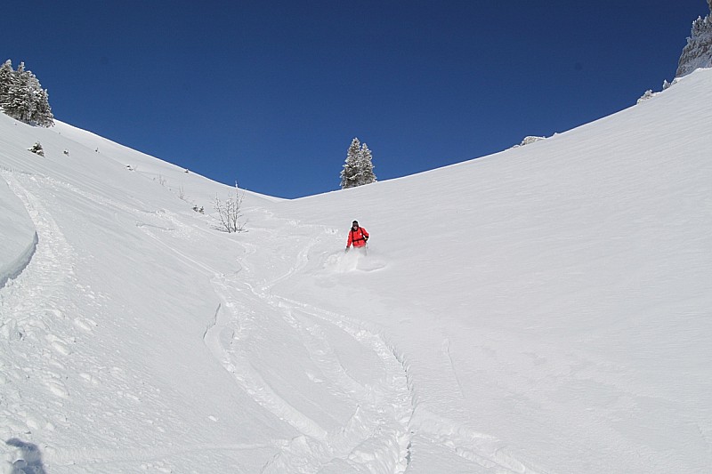 #4 Decente dans la combe : Toujours de la trop bonne neige... Decente dans la combe : Toujours de la trop bonne neige...