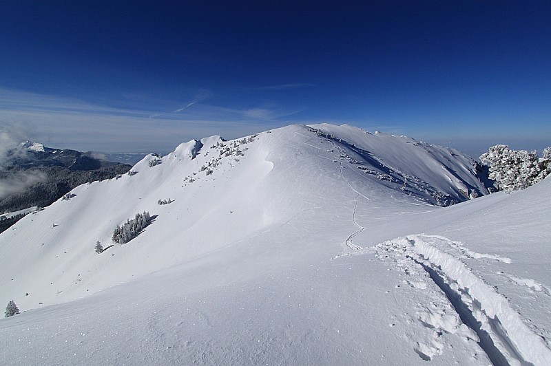 #2 Petit Som : Vue vers le Petit Som, déjà tracé, dans la montée Petit Som : Vue vers le Petit Som, déjà tracé, dans la montée