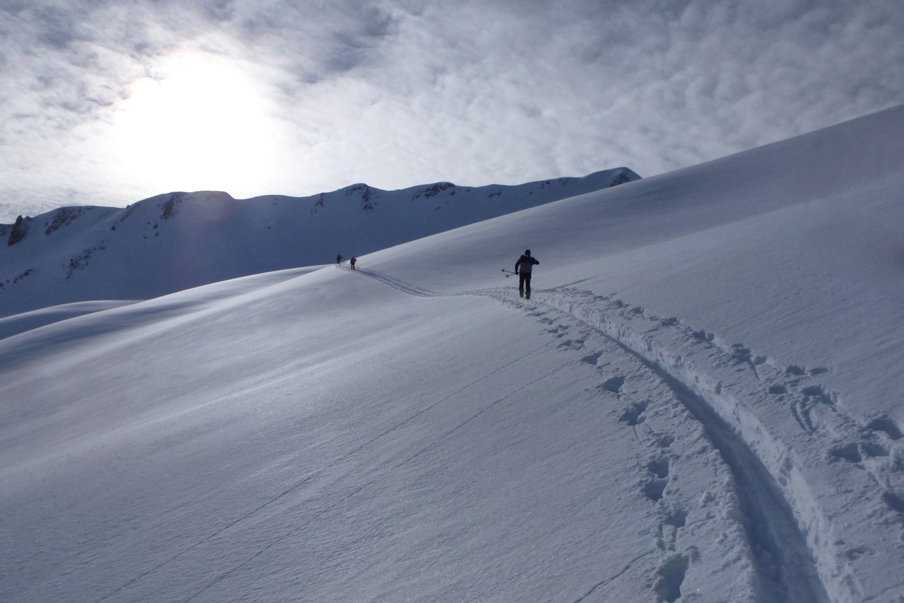 #25 Dans la trace : Une belle mais froide ambiance. Dans la trace : Une belle mais froide ambiance.