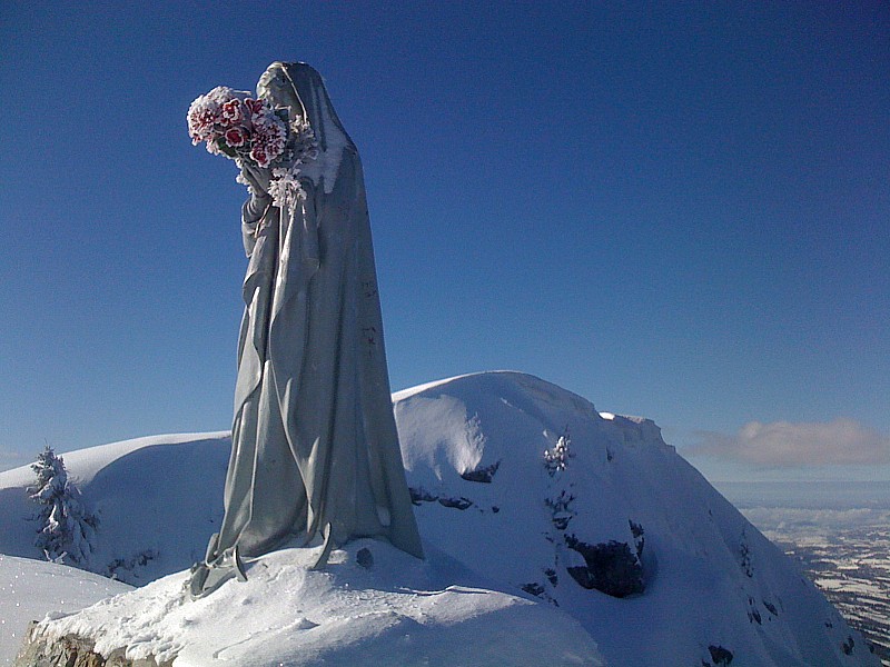 des roses au mois de janvier : sommet pointe d'Andey, la vierge fleurie au mois de janvier...un miracle?