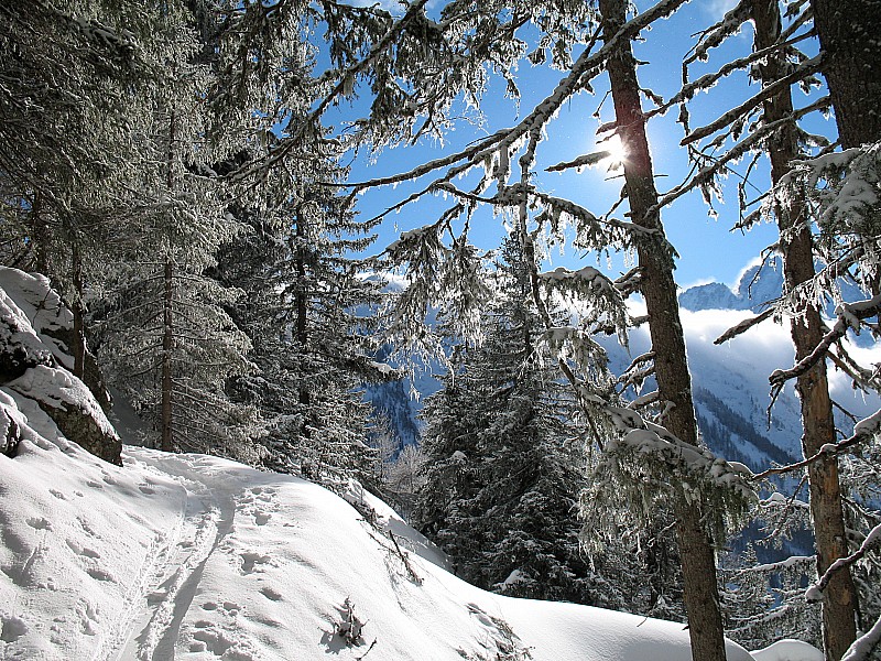 #1 Pointe de la Terrasse : Sentier des chalets de Loriaz Pointe de la Terrasse : Sentier des chalets de Loriaz