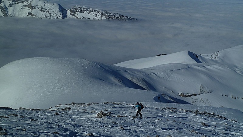 #2 La fin : C La fin : C'est déplumé