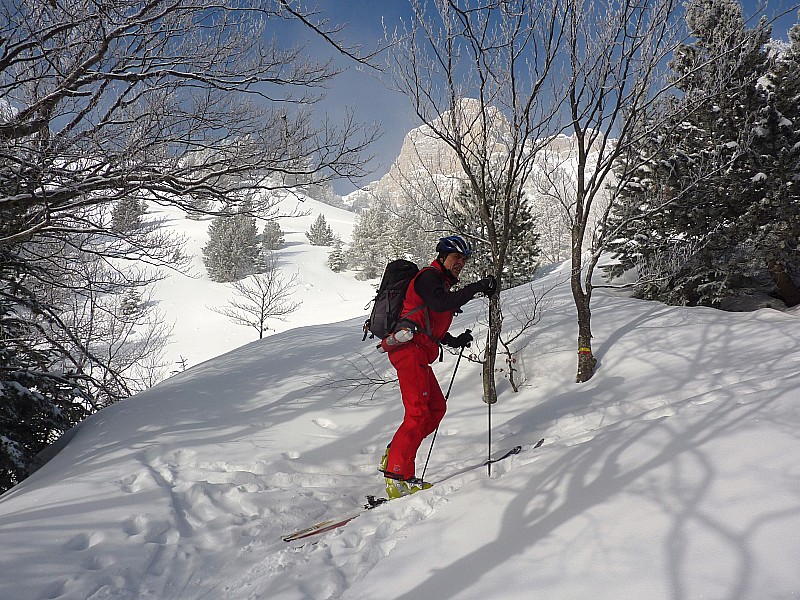 #4 Sortie de brume : Mich en sortie de forêt Sortie de brume : Mich en sortie de forêt