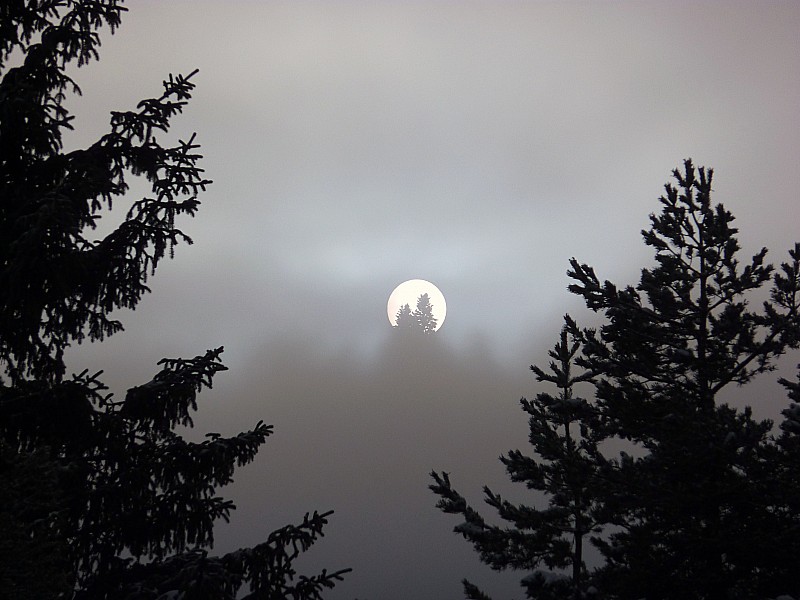 #3 De deux choses l De deux choses l'une : L'autre c'est le soleil!