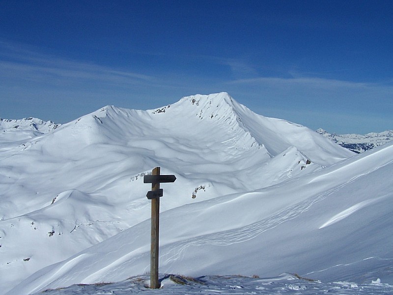 Pointe de Combe Bénite : Sur l'antecime 2513m, suivez la flèche!
Le versant Est de la la Combe Bénite skié hier