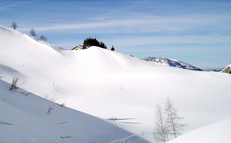 #13 Chalet des gardes : Personne au chalet... Chalet des gardes : Personne au chalet...
