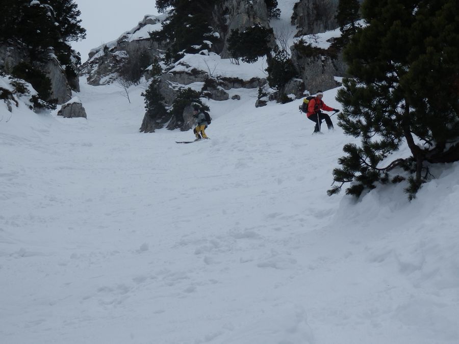 #11 Virgule : Très bonne neige froide et tassée Virgule : Très bonne neige froide et tassée
