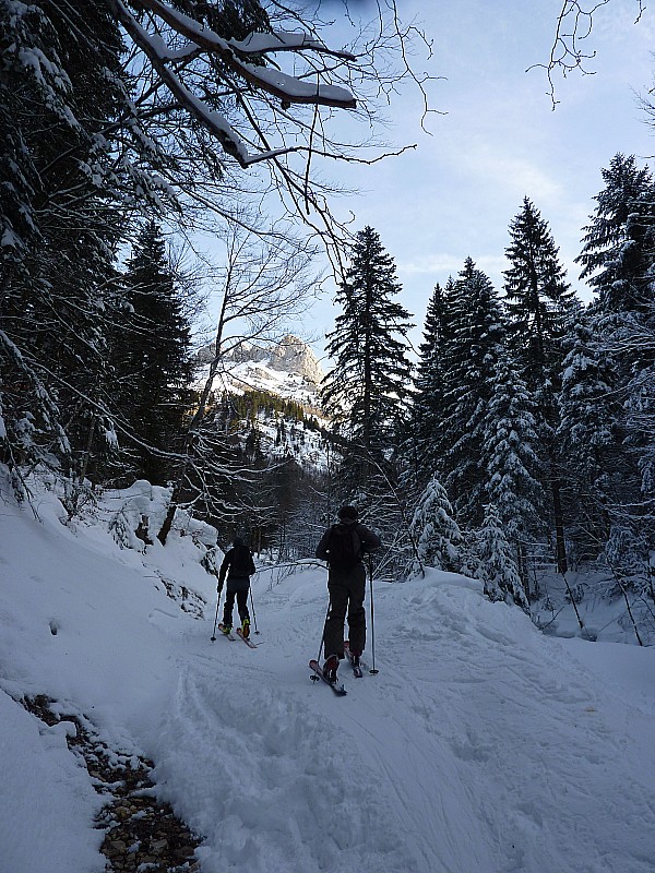 #1 Départ de Perquelin : çà passe bien en foret Départ de Perquelin : çà passe bien en foret