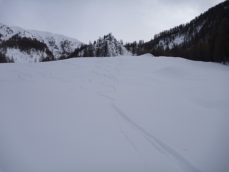 #6 Bonnes pettes godilles : C Bonnes pettes godilles : C'est quand même pas mal même si c'est un peu lourd...