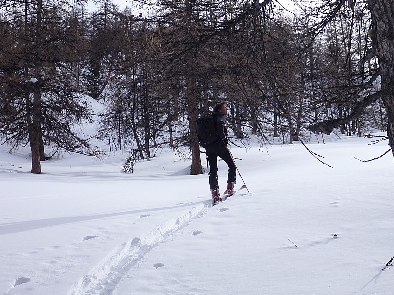 #1 A la trace ! : Ça commence ! Finis les rails ! A la trace ! : Ça commence ! Finis les rails !