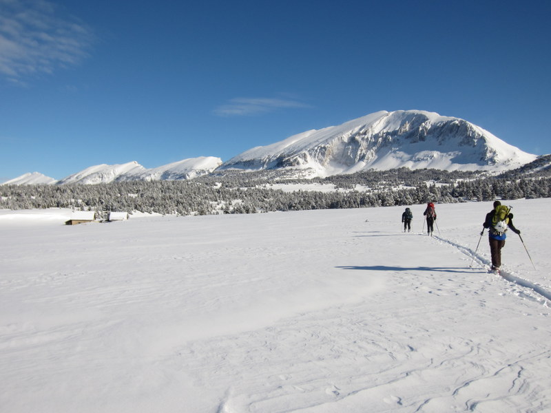 #16 La Grande Cabane La Grande Cabane