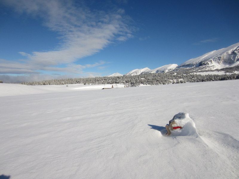 #17 GR 91 : Sur la bonne route GR 91 : Sur la bonne route