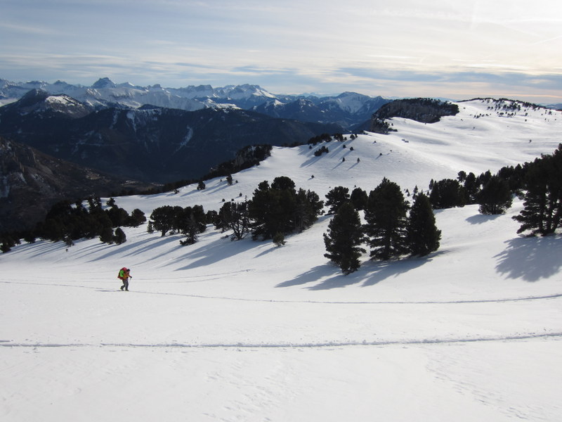 #8 Glandasse Glandasse