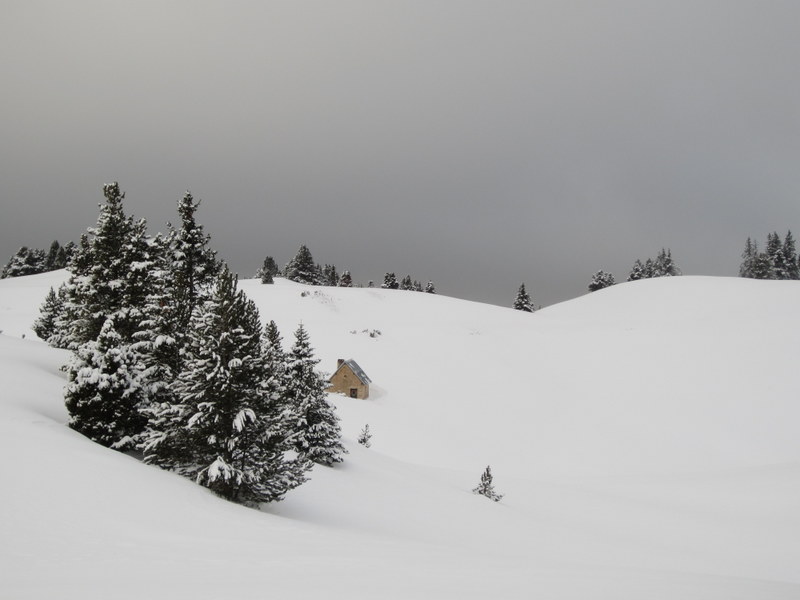 #21 Jasse du Play Jasse du Play