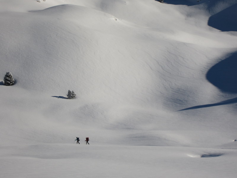 #13 Solitude Solitude