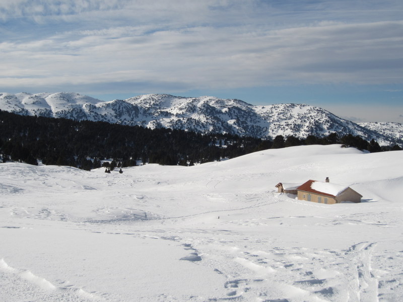 #6 Jardin du Roi : Bergerie du Jardin du Roi Jardin du Roi : Bergerie du Jardin du Roi