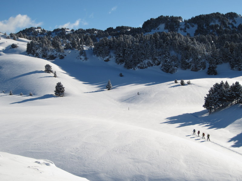 #12 Solitude Solitude