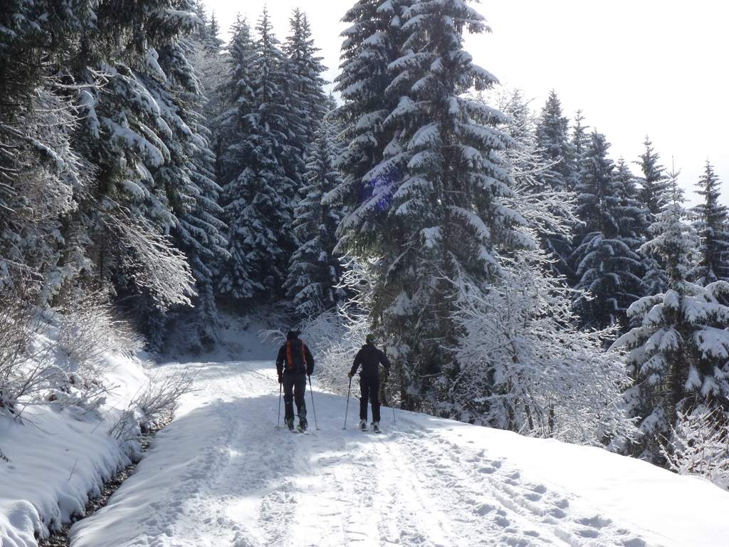 #3 sur la route : encore du soleil sur la route : encore du soleil