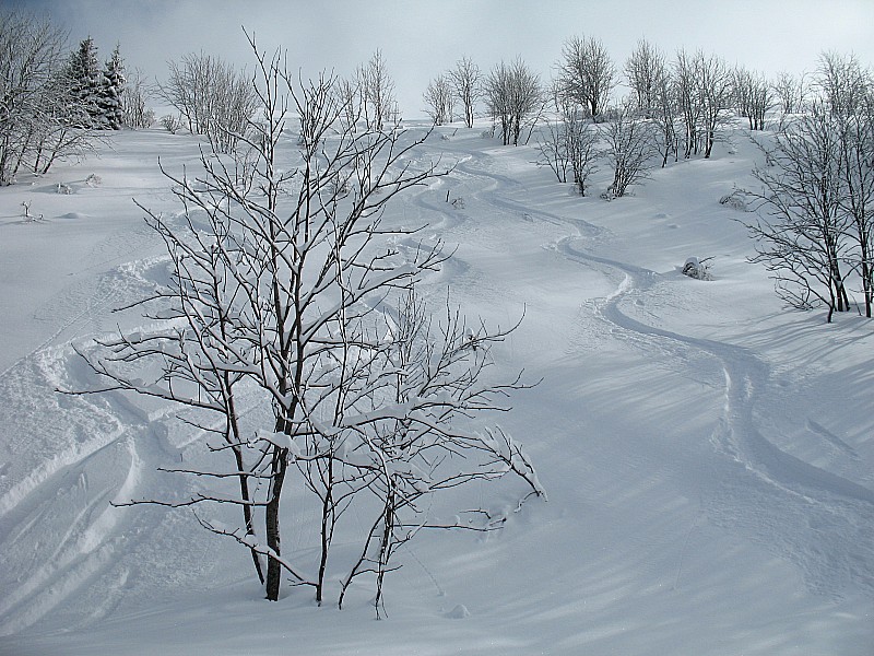 #10 combe des Foges : Toujours bon ! combe des Foges : Toujours bon !