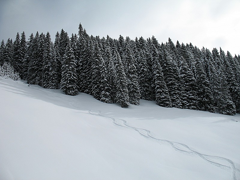 #13 combe des Foges : Fin de la jolie poudre... La piste est en bonnes conditions jusqu combe des Foges : Fin de la jolie poudre... La piste est en bonnes conditions jusqu'en bas, un peu râpée dans les derniers virages.