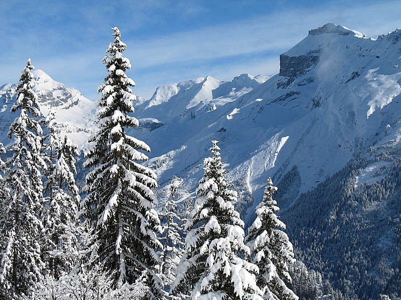 #3 combe des Foges : De beaux panoramas sur le Tenneverge, le Grenier de Commune et le Buet en montant combe des Foges : De beaux panoramas sur le Tenneverge, le Grenier de Commune et le Buet en montant