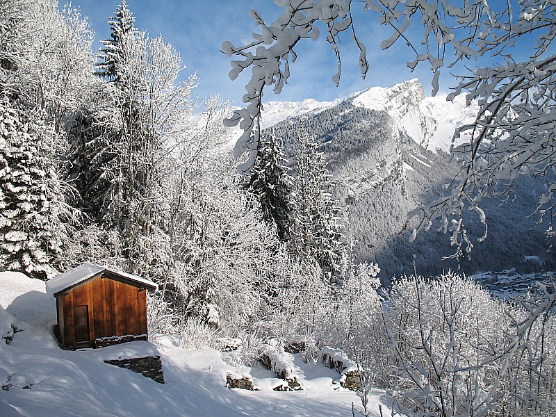 #1 combe des Foges : Montée agréable sur la piste au soleil combe des Foges : Montée agréable sur la piste au soleil