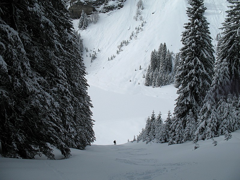 #11 combe des Foges : Plus irrégulier, on sent le fond dur un peu croûté par endroit, mais pas vraiment gênant ! combe des Foges : Plus irrégulier, on sent le fond dur un peu croûté par endroit, mais pas vraiment gênant !