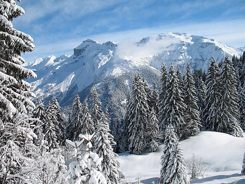 #4 combe des Foges : Des paysages qu combe des Foges : Des paysages qu'on redécouvre sous un autre angle