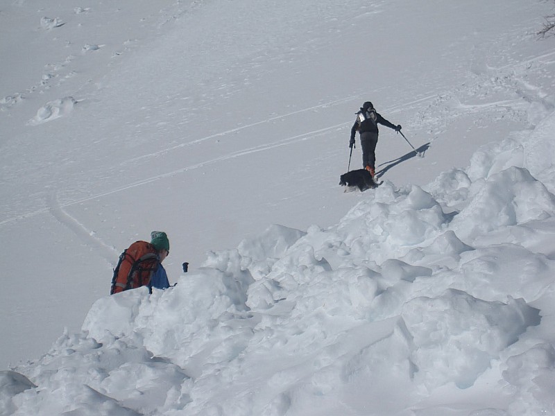 #6 Cime de Belletz : seule avalanche rencontrée sur le parcours Cime de Belletz : seule avalanche rencontrée sur le parcours