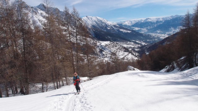 #1 Au sortir de la forêt : beau paysage et belle montée Au sortir de la forêt : beau paysage et belle montée