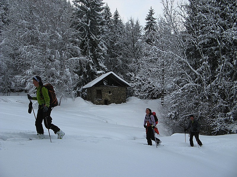 Clairière : Cabane forestière