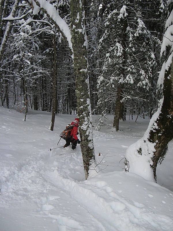 Descente en forêt : Isabelle casse du bois