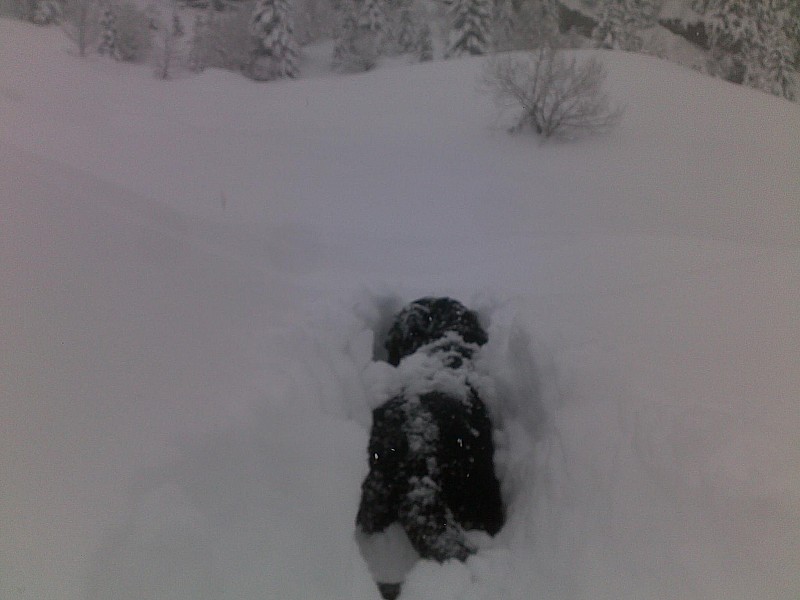 #2 Bandit : Trace difficile... Bandit : Trace difficile...