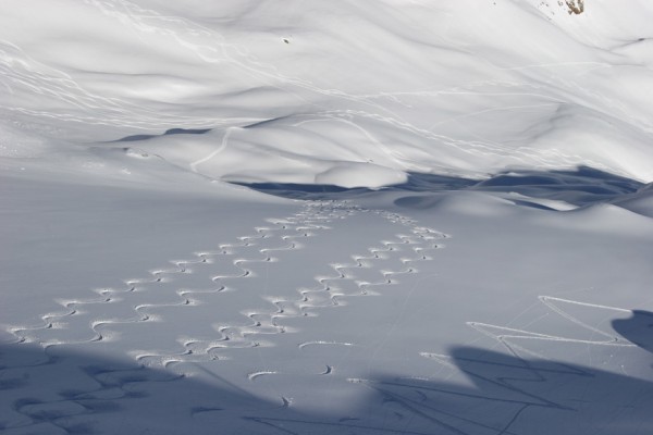 #3 Traces dans la pente : Même par les mauvaises conditions de ce mois de janvier on arrive à trouver des bons spots si on cherche ;-) Traces dans la pente : Même par les mauvaises conditions de ce mois de janvier on arrive à trouver des bons spots si on cherche ;-)
