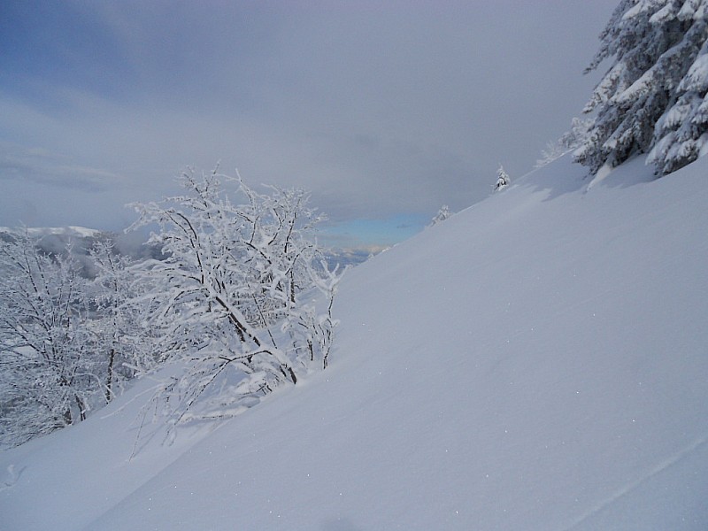 #6 Roc des Boeufs : je voulait avoir le lac d Annecy . raté Roc des Boeufs : je voulait avoir le lac d Annecy . raté