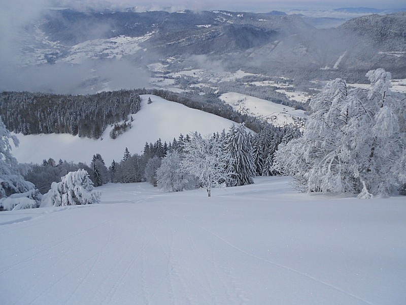 #4 chalet sollier : gavage... chalet sollier : gavage...