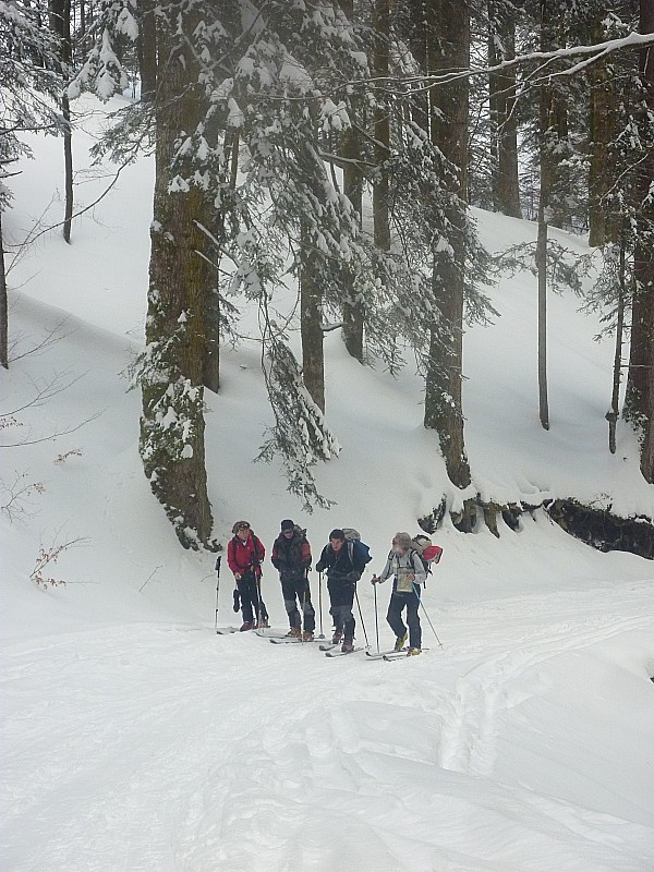 #11 Chemin forestier : Ca monte Chemin forestier : Ca monte