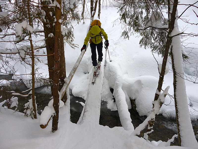 #1 au reposior : coco n au reposior : coco n'ose pas regarder l'objectif de peur de mouiller ses peaux. Faudra réparer ce pont un de ces quatre.
