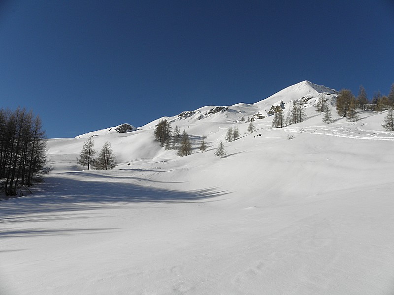 #1 Sortie du bois. : On ne s Sortie du bois. : On ne s'en lasse pas!.