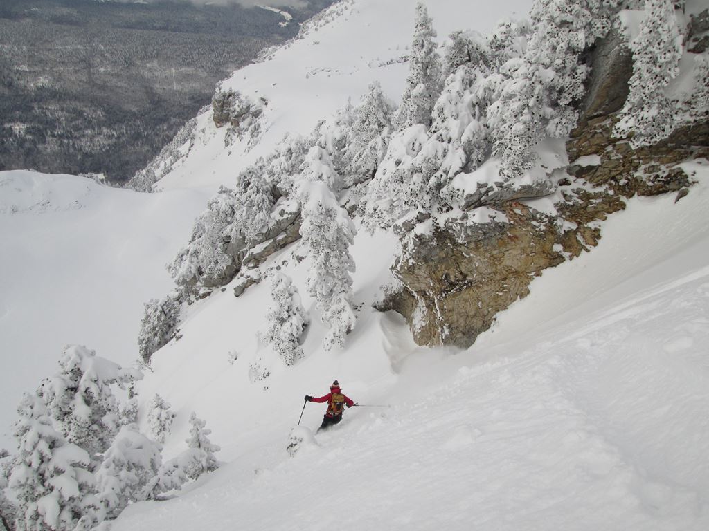 #14 Bérangère : idem Bérangère : idem