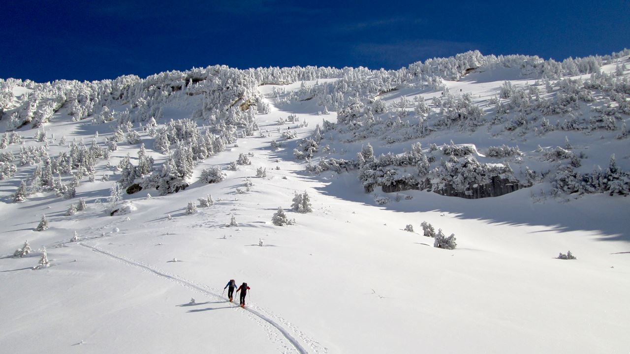 #9 Face W Poyer : on va un bel aller retour Face W Poyer : on va un bel aller retour