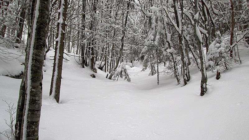 #1 Combe du Cheval : ça sent bon ... Combe du Cheval : ça sent bon ...