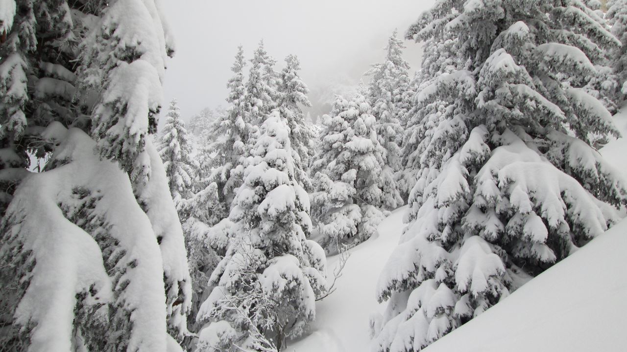 #3 Un peu de neige : quantité incroyable à brasser par là Un peu de neige : quantité incroyable à brasser par là