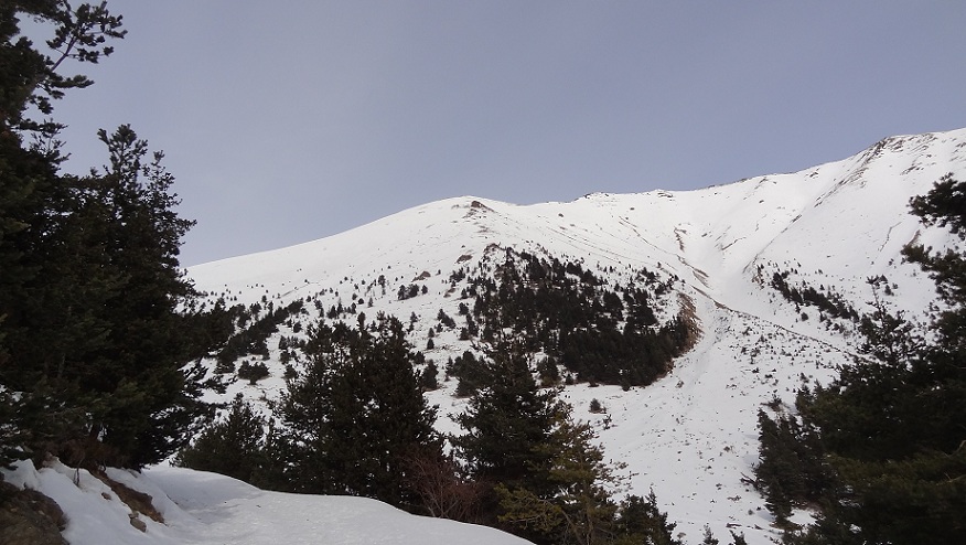 #4 Une idée du trajet : En continuant la route après avoir garé la voiture, passer en gros derrière le sapin du premier plan, puis d Une idée du trajet : En continuant la route après avoir garé la voiture, passer en gros derrière le sapin du premier plan, puis d'ouest en est effectuer la montée vers le mont.