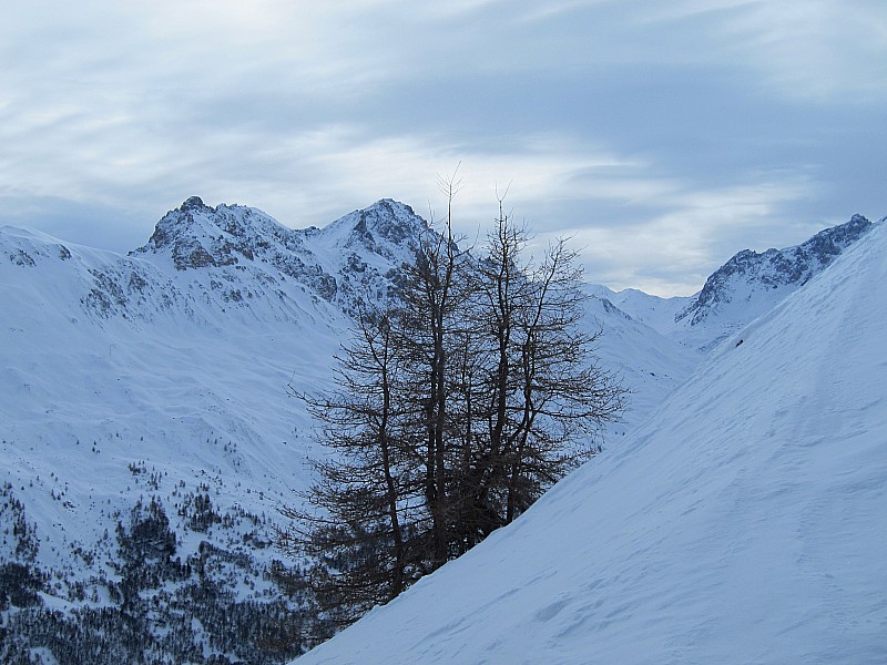 #2 Crey Rond : Tiens un mélèze, au fond les Rochers de la Gde Parée. Crey Rond : Tiens un mélèze, au fond les Rochers de la Gde Parée.