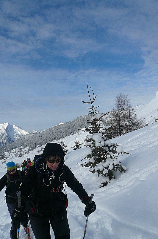 #1 pointe du dzonfié : ambiance hivernale pointe du dzonfié : ambiance hivernale