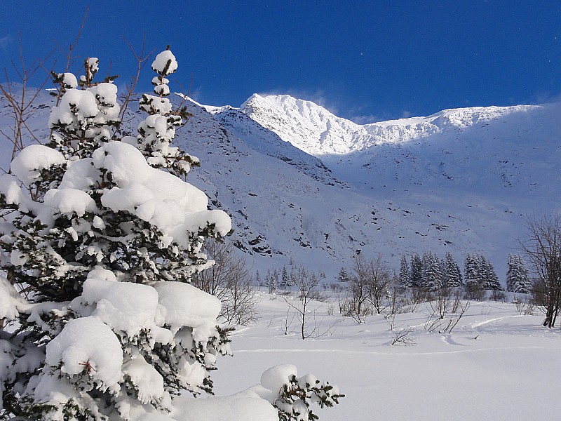 #4 un peu de soleil : rasant à la fin de la journée sur la combe d un peu de soleil : rasant à la fin de la journée sur la combe d'armancette