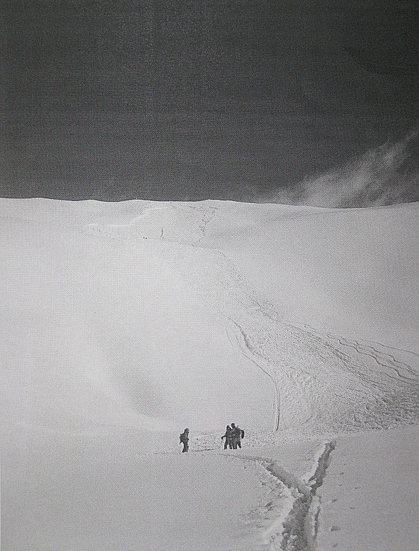 #4 les 500m de long sur 200m déni : les 3 premiers skieurs pensaient que la coulée s les 500m de long sur 200m déni : les 3 premiers skieurs pensaient que la coulée s'arrêterait au petit monticule. Nous avons été surpris par la masse, fauchés, trainès, ensevelis, on a sorti la tête, puis une seconde vague nous a recouvert, on a réuss